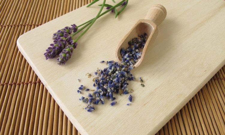 Burn-out en de 4 natuurkwaliteiten