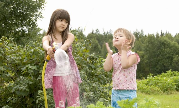 Disbalans in het gastro-intestinaal microbioom