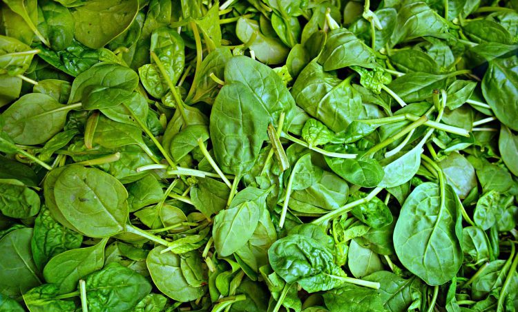 Optimale niveaus van vitamine B11