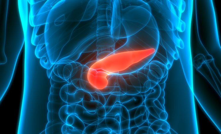Pancreas herstelt zich na genezen diabetes type 2