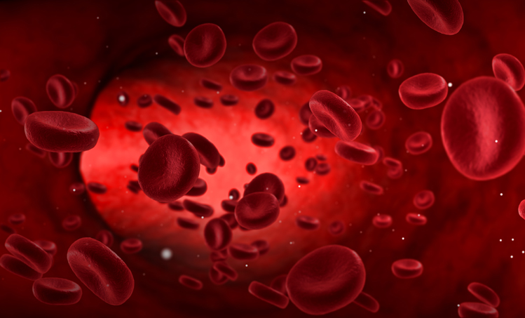 Quercetine gunstig bij hart- en vaatziekten