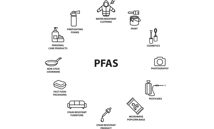 PFAS bindt aan vitamine D-receptor