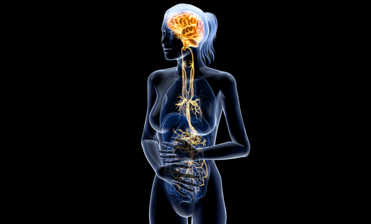 Stimulatie nervus vagus via het oor