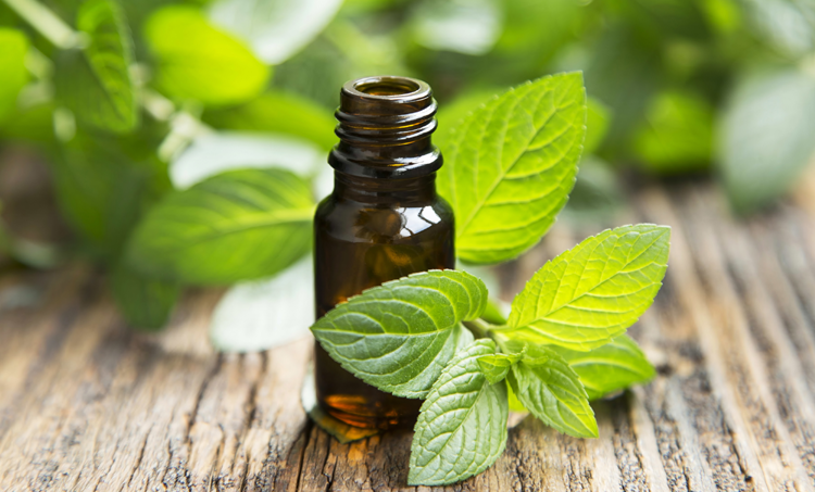 Pepermuntolie vermindert misselijkheid na operatie