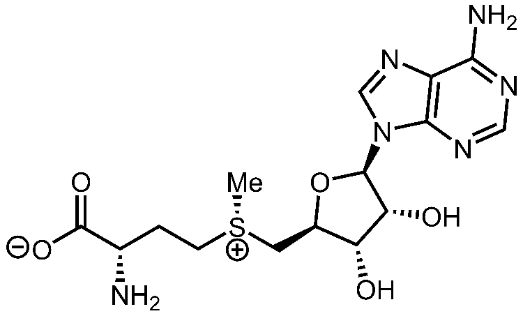 Ondergemethyleerde depressie