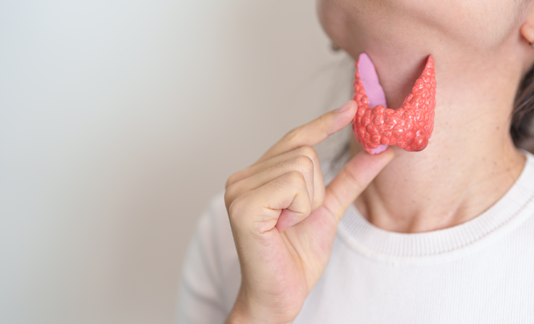 Fytotherapie bij stressgerelateerde schildklierproblematiek