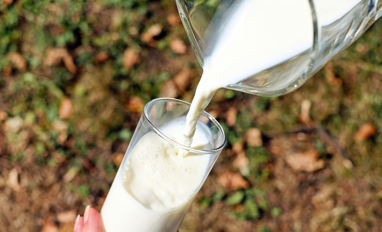 Invloeden van A1/A2-zuivel op het microbioom