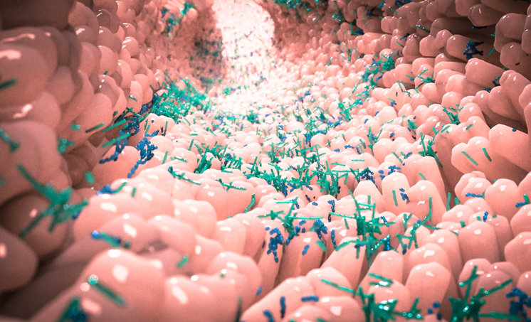 Gastro-intestinale pH en ziekten