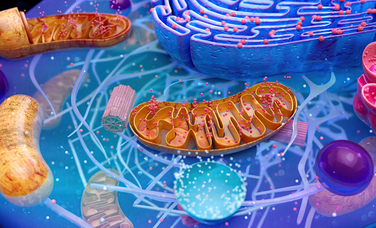 Grip op Parkinson door systemische leefstijlinterventie