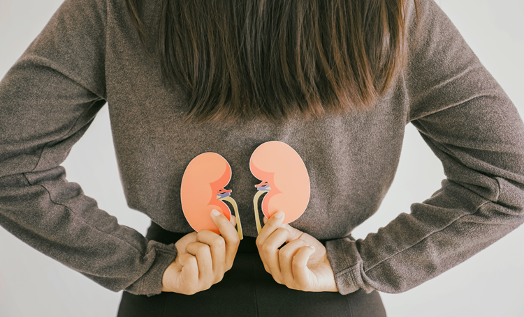 Nieren en eiwitinname: waar ligt de juiste balans?