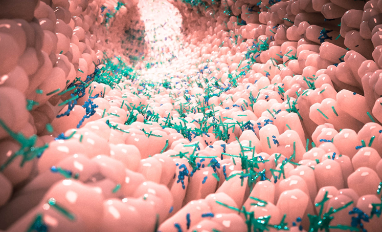 Consensus statement voor definitie van darmgezondheid