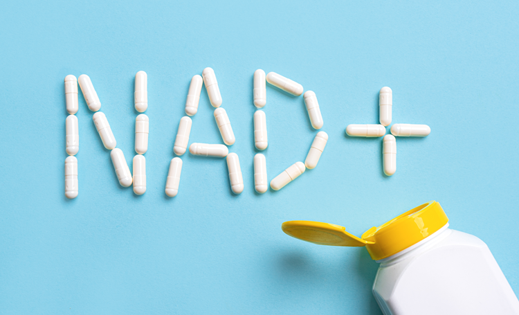 NAD⁺-precursorsuppletie en tumorgenese